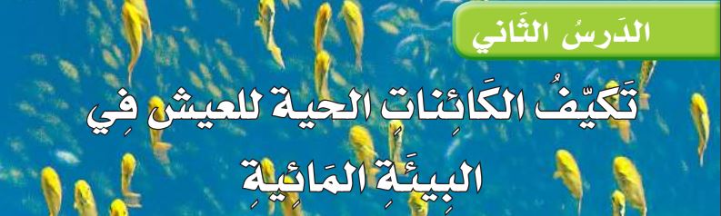 الدرس الثاني تكيف الكائنات الحية للعيش في البيئة المائية